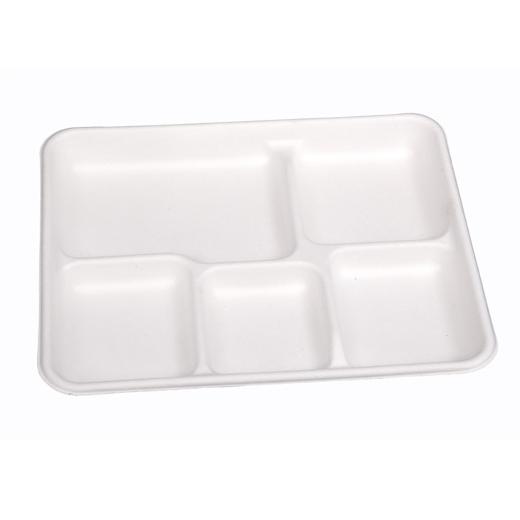 Piatto quadrato compostabile