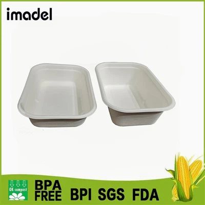 Vassoio della canna da zucchero